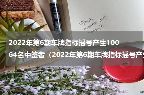 2022年第6期车牌指标摇号产生10064名中签者（2022年第6期车牌指标摇号产生10064名中签者）
