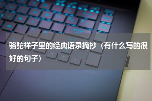 骆驼祥子里的经典语录摘抄（有什么写的很好的句子）