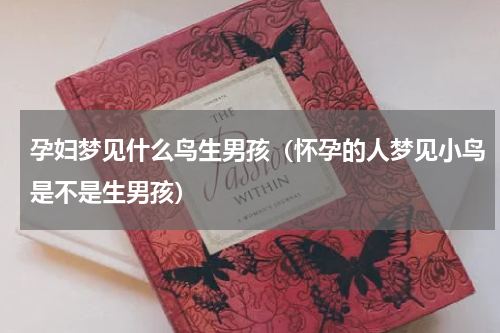 孕妇梦见什么鸟生男孩（怀孕的人梦见小鸟是不是生男孩）