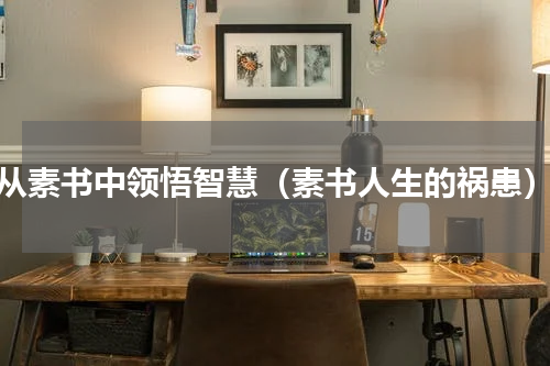 从素书中领悟智慧（素书人生的祸患）