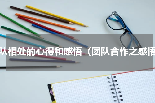 团队相处的心得和感悟（团队合作之感悟）