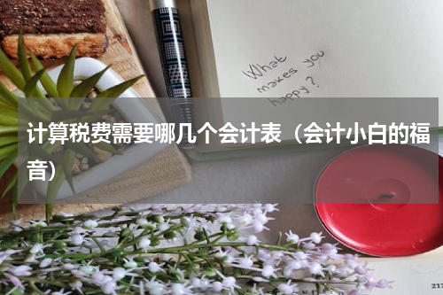 计算税费需要哪几个会计表（会计小白的福音）
