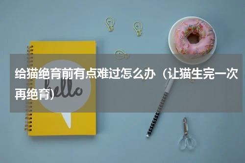 给猫绝育前有点难过怎么办（让猫生完一次再绝育）