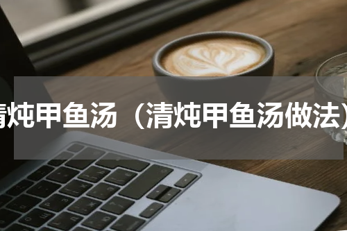 清炖甲鱼汤（清炖甲鱼汤做法）