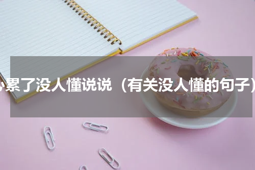 心累了没人懂说说（有关没人懂的句子）