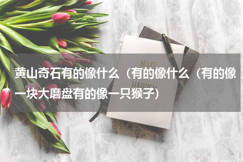 黄山奇石有的像什么（有的像什么（有的像一块大磨盘有的像一只猴子）
