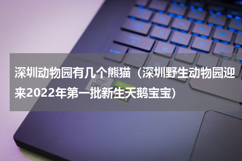 深圳动物园有几个熊猫（深圳野生动物园迎来2022年第一批新生天鹅宝宝）