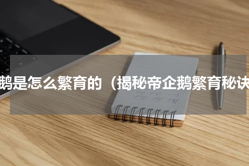 企鹅是怎么繁育的（揭秘帝企鹅繁育秘诀）