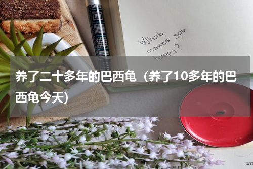 养了二十多年的巴西龟（养了10多年的巴西龟今天）