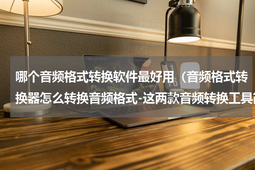 哪个音频格式转换软件最好用（音频格式转换器怎么转换音频格式-这两款音频转换工具简单易上手）