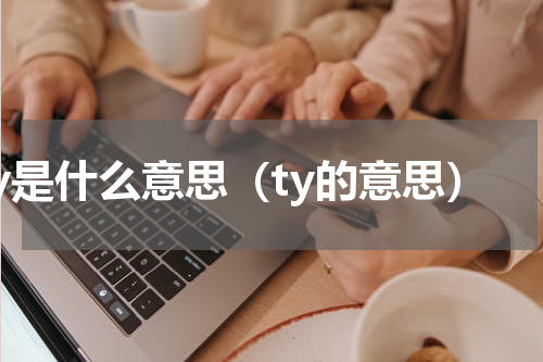 ty是什么意思（ty的意思）