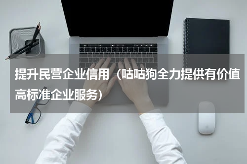 提升民营企业信用（咕咕狗全力提供有价值高标准企业服务）