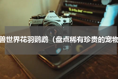 魔兽世界花羽鹦鹉（盘点稀有珍贵的宠物）