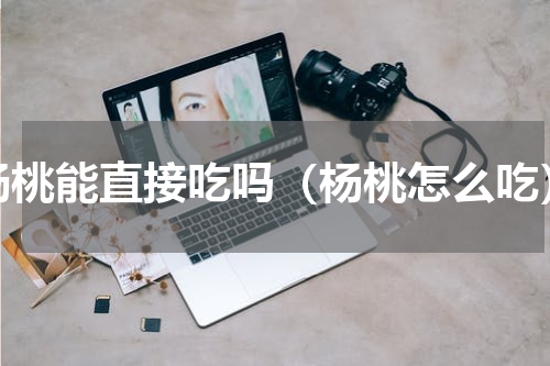 杨桃能直接吃吗（杨桃怎么吃）