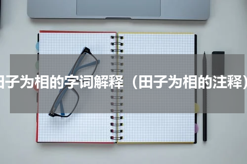 田子为相的字词解释（田子为相的注释）