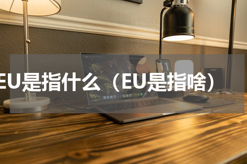 EU是指什么（EU是指啥）