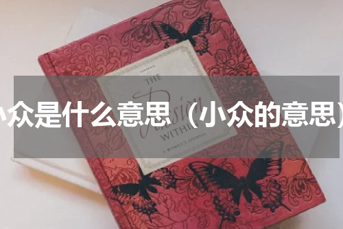 小众是什么意思（小众的意思）