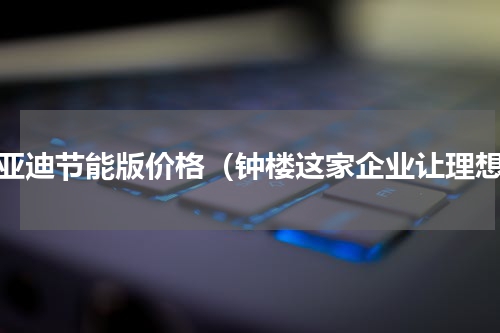 比亚迪节能版价格（钟楼这家企业让理想）