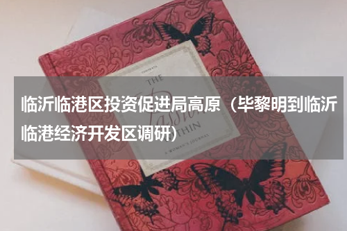 临沂临港区投资促进局高原（毕黎明到临沂临港经济开发区调研）