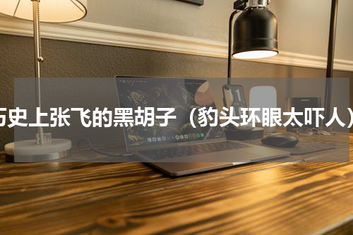 历史上张飞的黑胡子（豹头环眼太吓人）