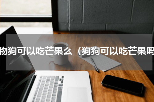 宠物狗可以吃芒果么（狗狗可以吃芒果吗）