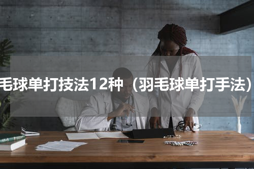 羽毛球单打技法12种（羽毛球单打手法）