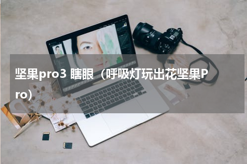 坚果pro3 瞎眼（呼吸灯玩出花坚果Pro）