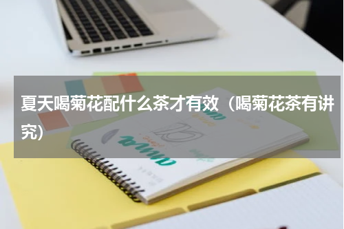 夏天喝菊花配什么茶才有效（喝菊花茶有讲究）