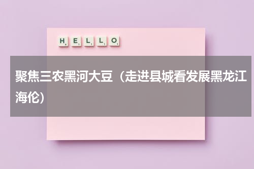 聚焦三农黑河大豆（走进县城看发展黑龙江海伦）