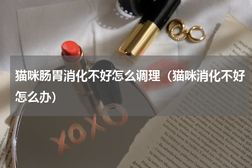 猫咪肠胃消化不好怎么调理（猫咪消化不好怎么办）