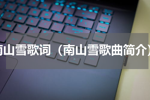 南山雪歌词（南山雪歌曲简介）