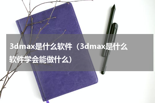 3dmax是什么软件（3dmax是什么软件学会能做什么）