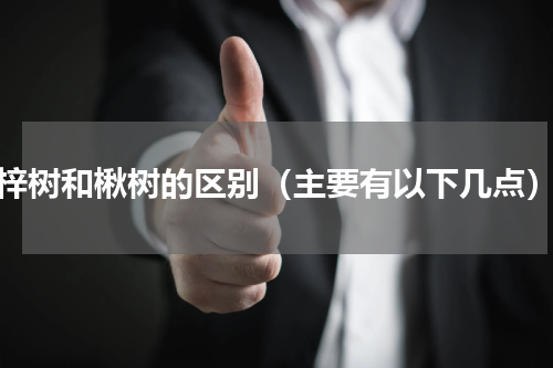 梓树和楸树的区别（主要有以下几点）