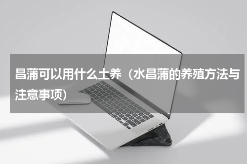 昌蒲可以用什么土养（水昌蒲的养殖方法与注意事项）