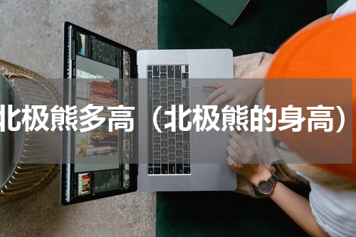 北极熊多高（北极熊的身高）
