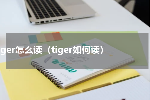tiger怎么读（tiger如何读）