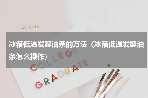 冰箱低温发酵油条的方法（冰箱低温发酵油条怎么操作）