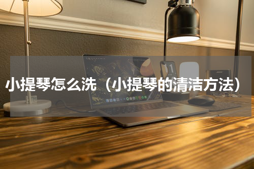 小提琴怎么洗（小提琴的清洁方法）