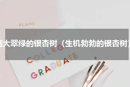 高大翠绿的银杏树（生机勃勃的银杏树）