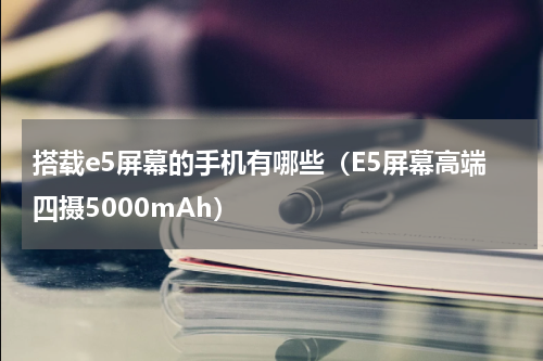 搭载e5屏幕的手机有哪些（E5屏幕高端四摄5000mAh）