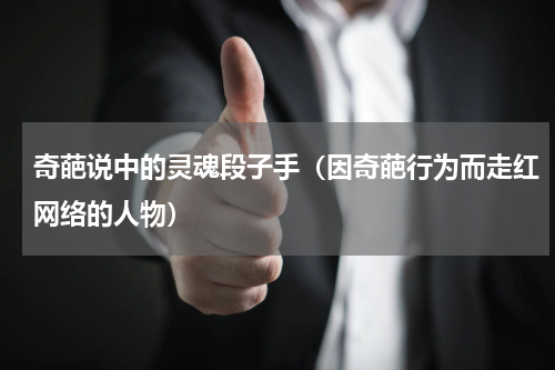 奇葩说中的灵魂段子手（因奇葩行为而走红网络的人物）