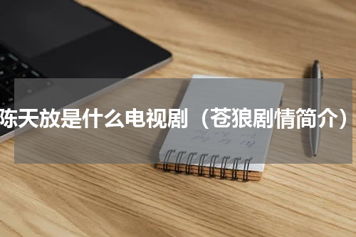 陈天放是什么电视剧（苍狼剧情简介）