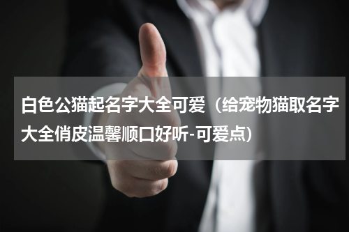 白色公猫起名字大全可爱（给宠物猫取名字大全俏皮温馨顺口好听-可爱点）