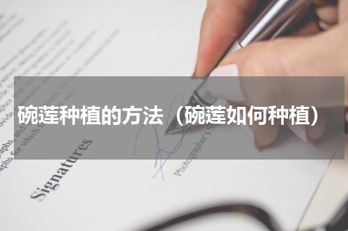 碗莲种植的方法（碗莲如何种植）