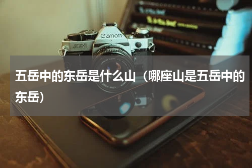 五岳中的东岳是什么山（哪座山是五岳中的东岳）