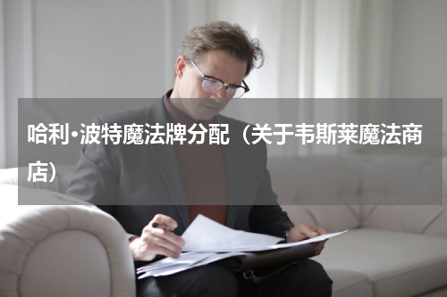 哈利·波特魔法牌分配（关于韦斯莱魔法商店）