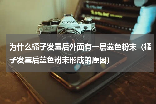 为什么橘子发霉后外面有一层蓝色粉末（橘子发霉后蓝色粉末形成的原因）