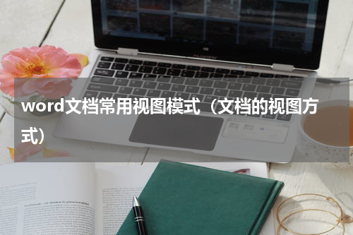 word文档常用视图模式（文档的视图方式）