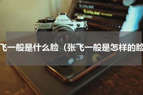 张飞一般是什么脸（张飞一般是怎样的脸）