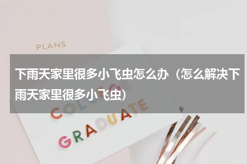 下雨天家里很多小飞虫怎么办（怎么解决下雨天家里很多小飞虫）